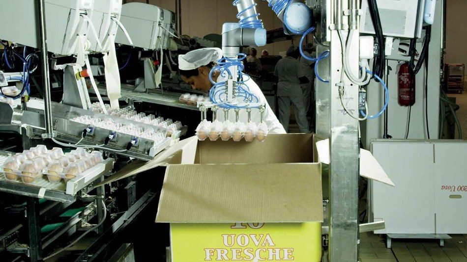 Les robots dans l'industrie alimentaire 4